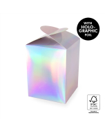 P76.207.175 Geschenkdoos - Large - Holographic